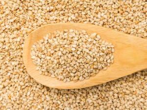 Reach out to Palmadex today to understand our step by step guide to importing sesame seeds from Nigeria