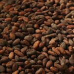 cocoa-g37ac32736_1280