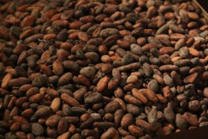 Reach out to Palmadex today. We are a premium Nigerian cocoa bean supplier for international buyers
