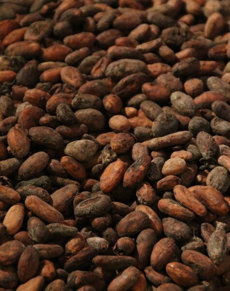 cocoa-g37ac32736_1280