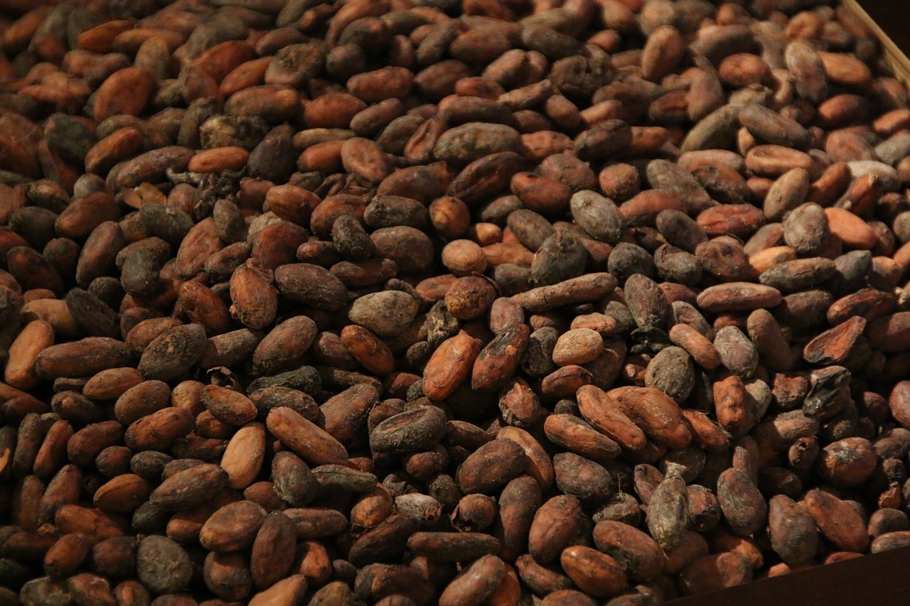 cocoa-g37ac32736_1280