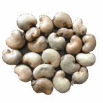 U16bd61ea425d4ae7b423fe68d8362be1E