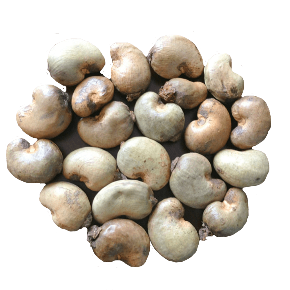 U16bd61ea425d4ae7b423fe68d8362be1E