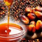Why Buyers Choose Palmadex for Nigerian Palm Oil Exports