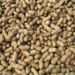 peanut-g92c32b894_1280