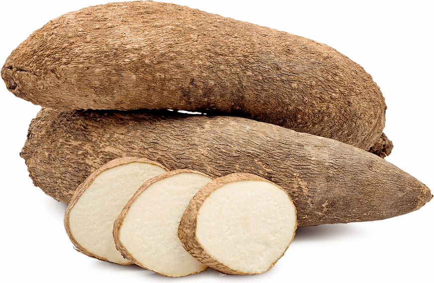 yam_