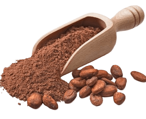 Cocoa Beans