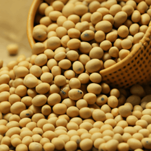 Reach out to Palmadex today if you need a premium Nigerian soya bean supplier for international buyers