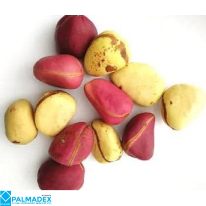 KOLA NUTS 1x10KG, 1X20KG