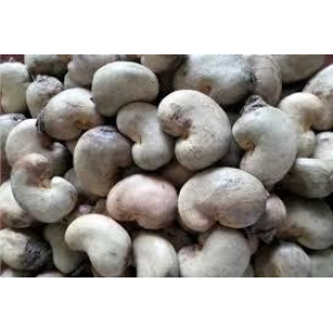 RAW CASHEW NUTS