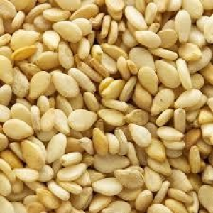 Premium Sesame Seeds available from Palmadex