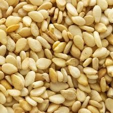 SESAME SEEDS