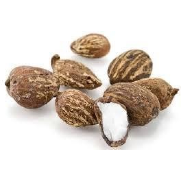 SHEA NUTS