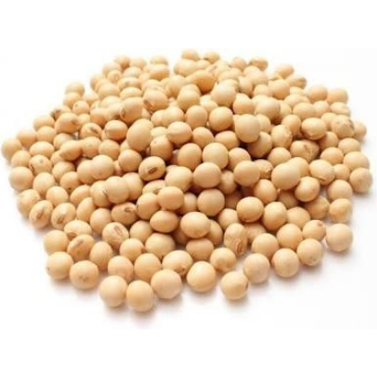 SOYA BEANS