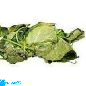 UTAZI LEAVES 24X30G, 1x5KG, 1X10KG