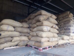 Premium Cashew Nuts Ready for Export from Palmadex