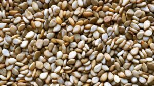 Premium Sesame Seeds from Palmadex