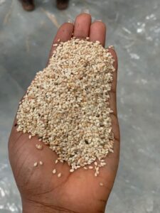 Premium Sesame Seeds available from Palmadex