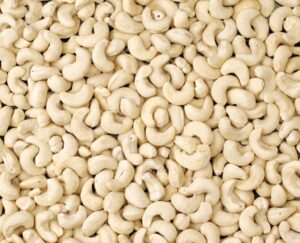 Premium Cashew Kernel Nuts from Palmadex