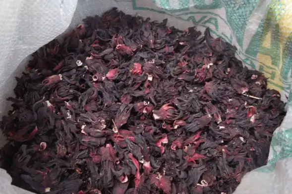 Premium Dried Hibiscus Flowers from Palmadex
