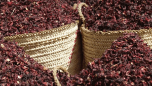 Premium Hibiscus Flowers from Palmadex