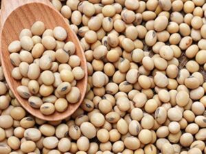 Premium Soya Beans from Palmadex