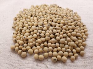 Premium Soya Beans from Palmadex