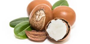 Premium Shea Nuts available from Palmadex