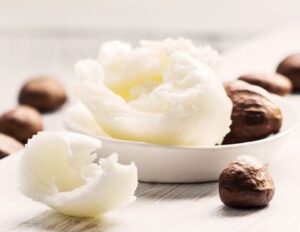 Premium Shea Butter available at Palmadex