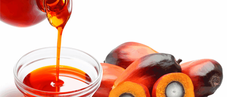 Get your premium palm oil for exports from Palmadex today