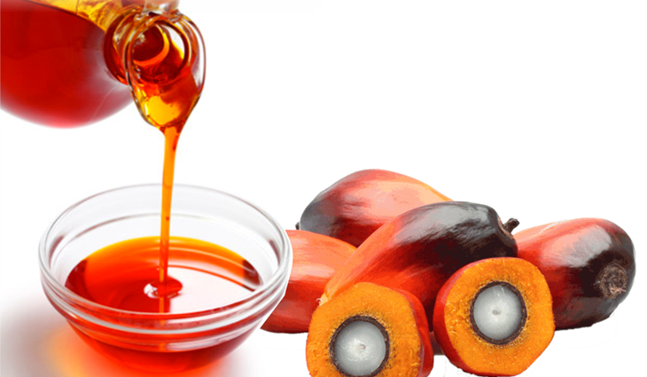 Get your premium palm oil for exports from Palmadex today