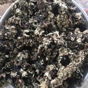 Premium Quality Stone Flower available at Palmadex