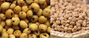Premium Quality Tiger nuts available at Palmadex
