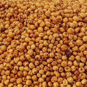 Premium quality tiger nuts available at Palmadex