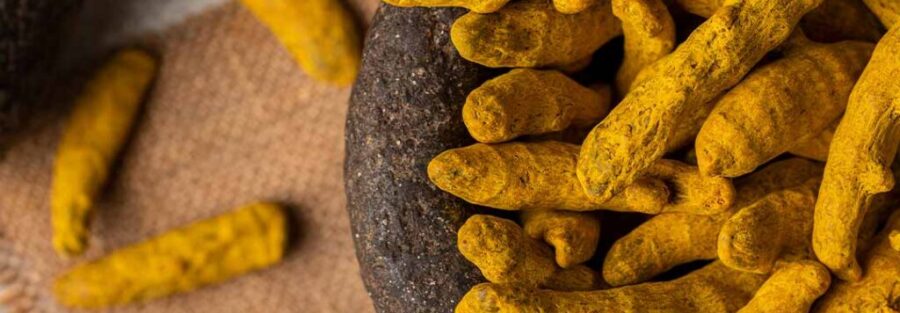 Premium quality turmeric available at Palmadex