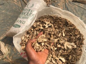 Premium quality dried split ginger available at Palmadex