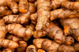 Premium Quality Tumeric from Palmadex