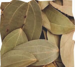 Palmadex is Nigeria's leading Bay leaves supplier 