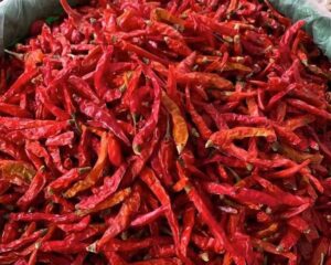 Contact Palmadex today for Dried chilli pepper from Nigeria