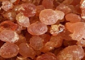 Palmadex is your primary export partner for Gum Arabic from Nigeria