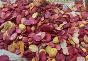 Learn how Palmadex solves all Kola nut export challenges