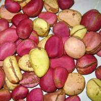 Palmadex Kola Nut compliance