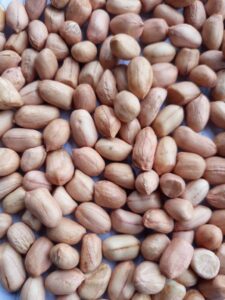 Contact Palmadex for Peanut imports from Nigeria