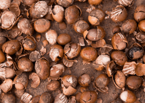 Palmadex is your number one Shea nut shells supplier from Nigeria