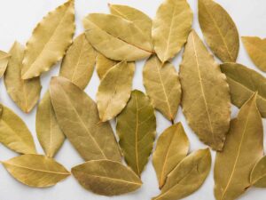 Premium Bay leaves export from Nigeria available at Palmadex