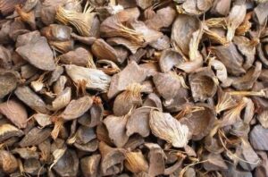  Contact Palmadex for Palm kernel shells from Nigeria