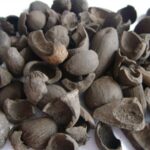 Palm Kernel Shells Export Challenges and Solutions