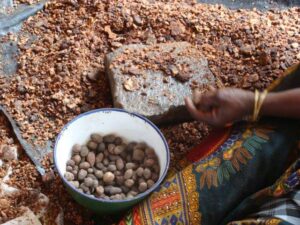 Contact Palmadex today for Shea nut shells from Nigeria