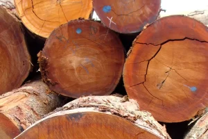  Reach out to Palmadex today for Bubinga wood import and export from Nigeria