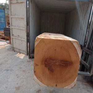 Reach out to Palmadex today to help solve all your Iroko wood export challenges